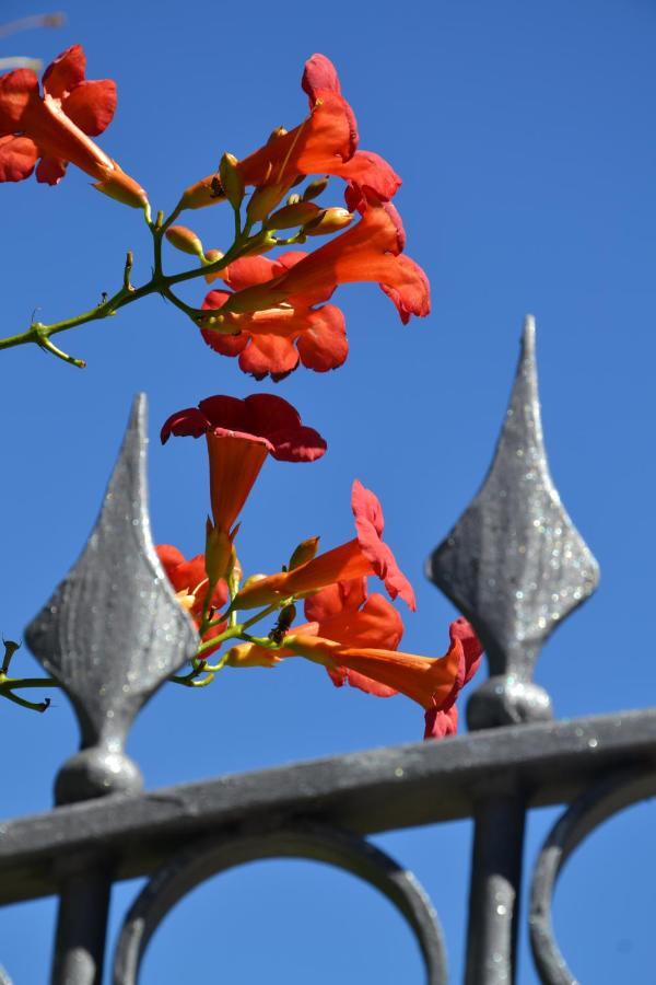 B&B Les Fleurs Gignod Pokoj fotografie